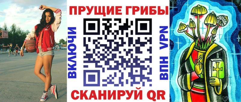 как найти наркотики  Стерлитамак  Псилоцибиновые грибы мицелий 
