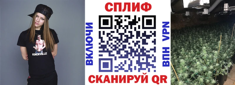 Бошки марихуана Bruce Banner  даркнет сайт  Стерлитамак 